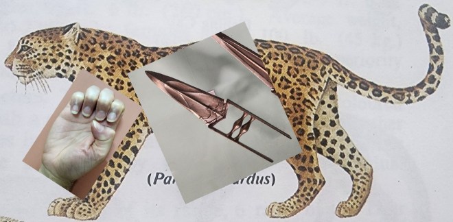 Shikan Ken and The Day of the&nbsp;Leopard